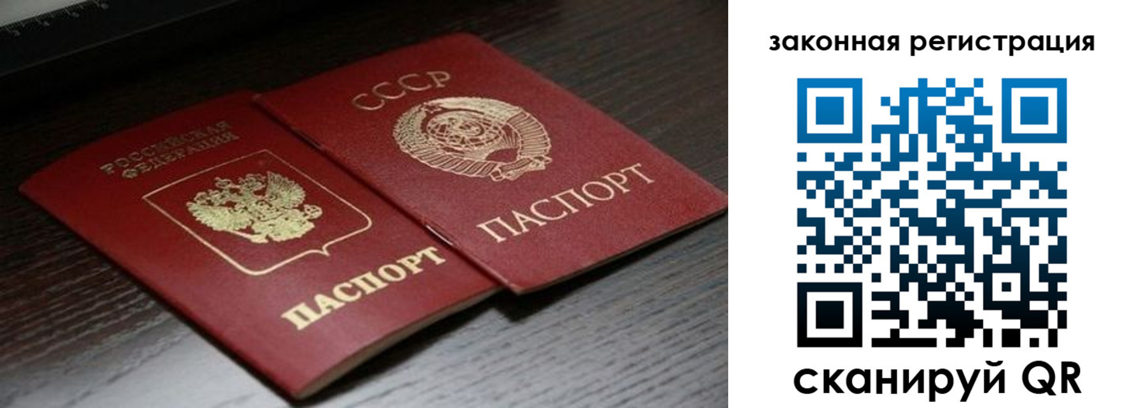 прописка поиск в Приморском крае